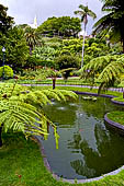 Azzorre, Isola Terceira - Angra do Heroismo, giardini del Duca di Terceira (gi del Monastero di Sao Fancisco).